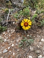Banff036