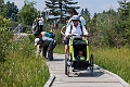 Canmore102