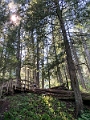 Kelowna006