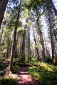Kelowna008