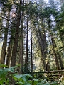 Kelowna018