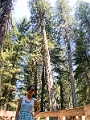 Kelowna025