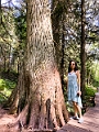 Kelowna031