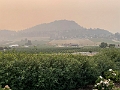 Kelowna066