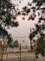 Kelowna074