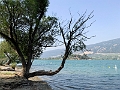 Kelowna079