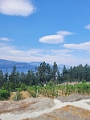 Kelowna100