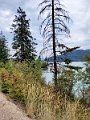 Kelowna125