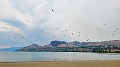 Kelowna131