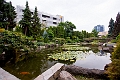 Kelowna173