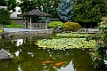 Kelowna176