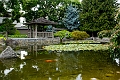 Kelowna177