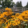 Kelowna180