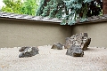 Kelowna183