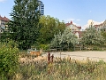 Kelowna267