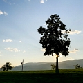 Kelowna269