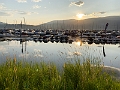 Kelowna270