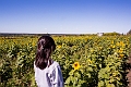 Sunmaze022
