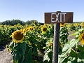 Sunmaze032