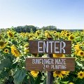 Sunmaze033