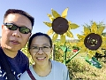 Sunmaze038