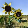 Sunmaze039