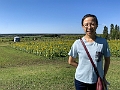 Sunmaze041