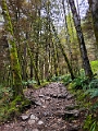 GrouseGrind004