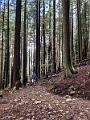 GrouseGrind005