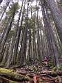 GrouseGrind008