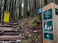 GrouseGrind009