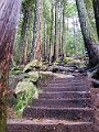 GrouseGrind020