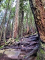 GrouseGrind021