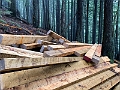 GrouseGrind027