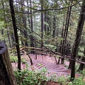 GrouseGrind031