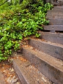 GrouseGrind038
