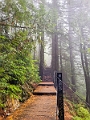 GrouseGrind042