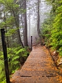 GrouseGrind043