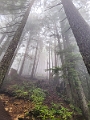 GrouseGrind050