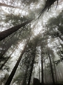 GrouseGrind056