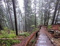 GrouseGrind061