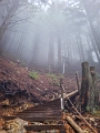 GrouseGrind062