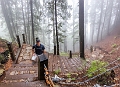 GrouseGrind064