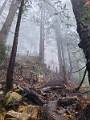 GrouseGrind069