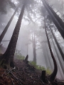 GrouseGrind071