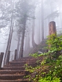GrouseGrind073