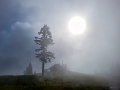 GrouseGrind082