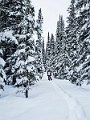 WinterRoadtrip007