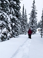 WinterRoadtrip008