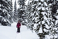 WinterRoadtrip016